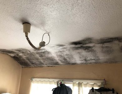 bedroom condensation mould issues