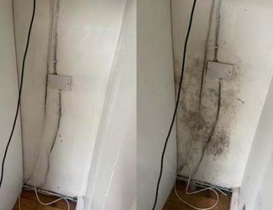 general mould cleaning before after