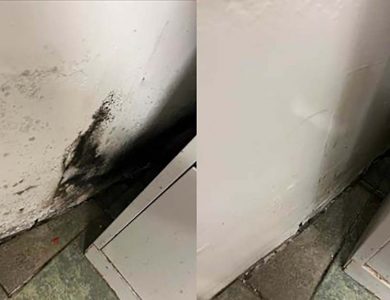 general mould cleaning before after