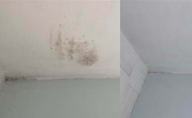 general mould cleaning before after