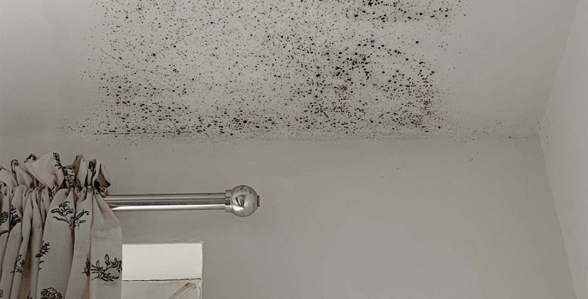 black mould developing