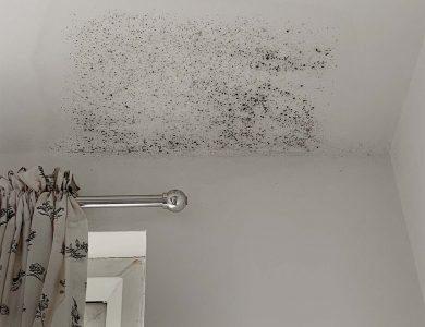 black mould developing