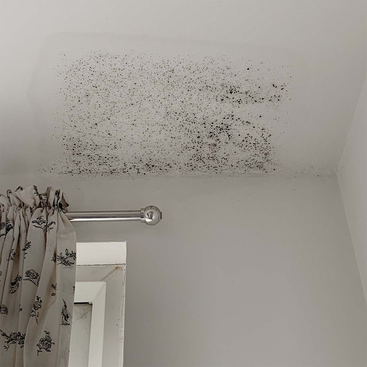 black mould developing