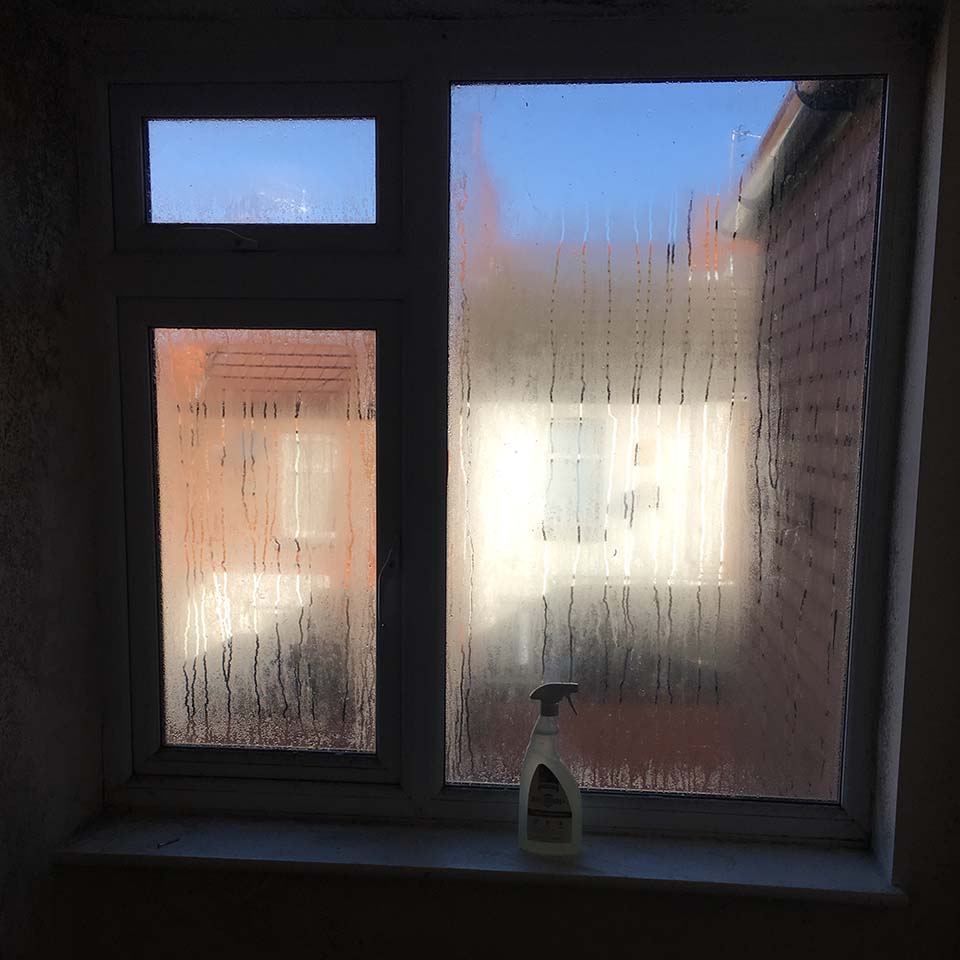 condensation problem window