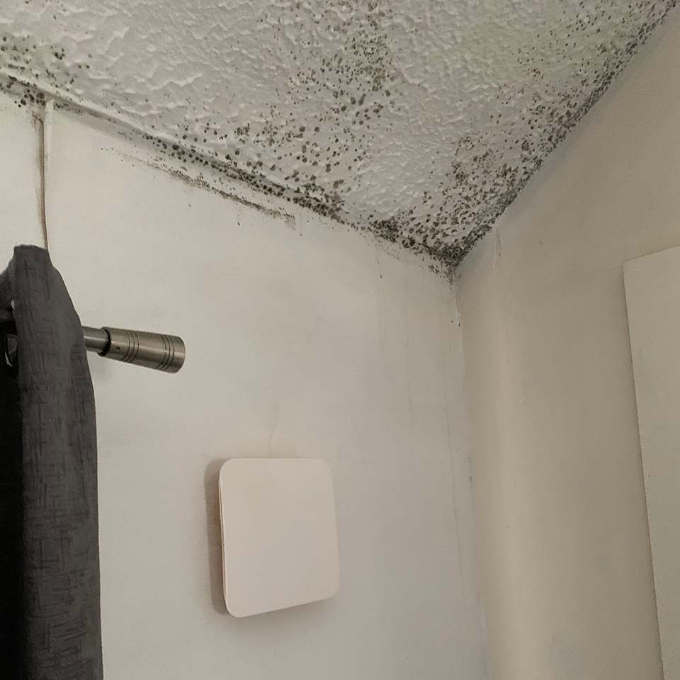 early stages mould wall ceiling