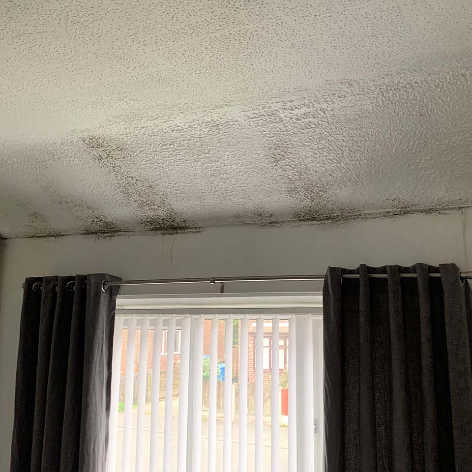 mould above window bedroom