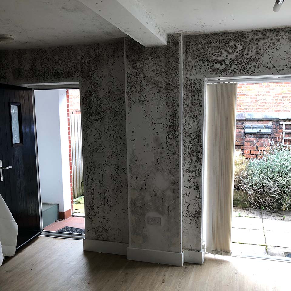 severe mould infestation