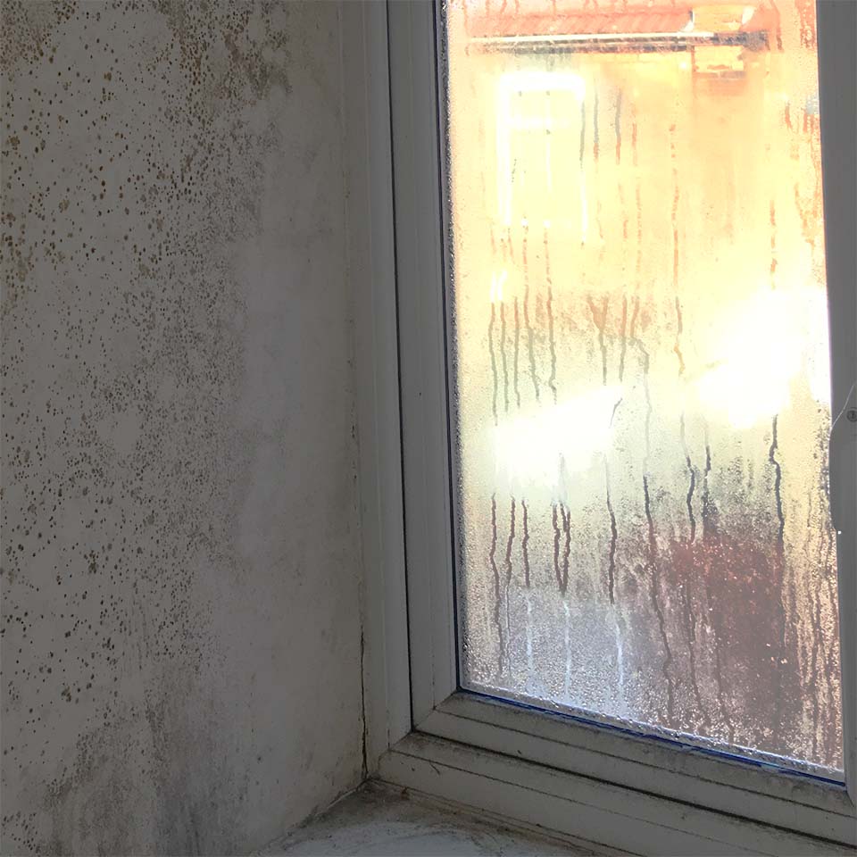 window condensation mould wall